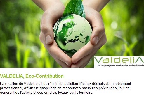 valdelia eco contribution